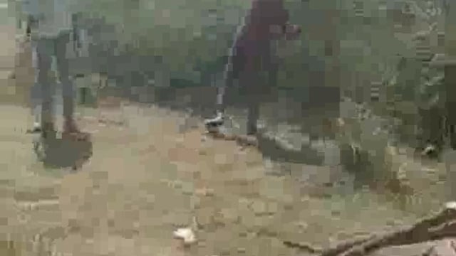 राजस्व तालाब पर लगे पेड़ों की हो रही धड़ल्ले से कटाई, 
लेखपाल प्रधान की भूमिका संदिग्ध
थाना बाघराय 