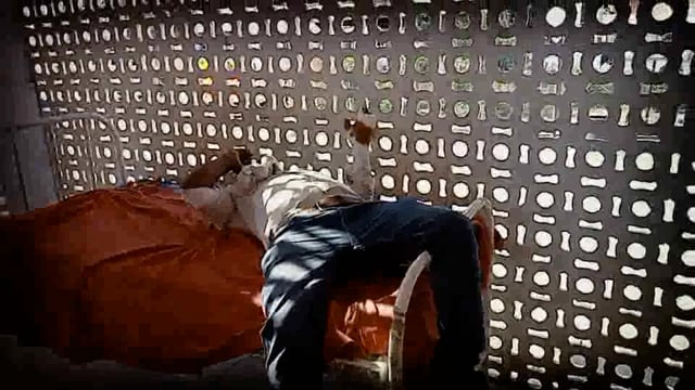 भरको गांव के समीप अनियंत्रित होकर पलटा स्कॉर्पियो एक ही परिवार के आठ सदस्य हुए जख्मी