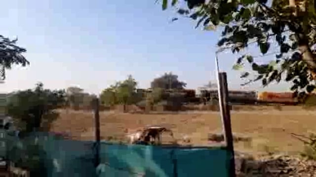 भालकी ते कमालनगर रेल्वे रुळावर उदगीरच्या तरुणांचा मृतदेह आढळला