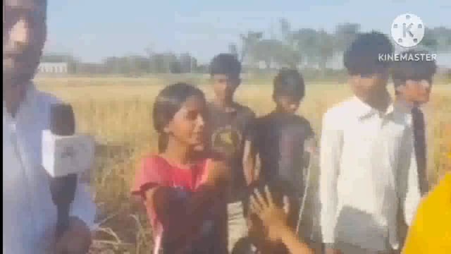 शिबौल में शार्ट सर्किट से हुई फसल क्षति का 6 दिन बीत जाने के बाद भी नहीं मिला मुआवजा,किसानों में आक्रोश