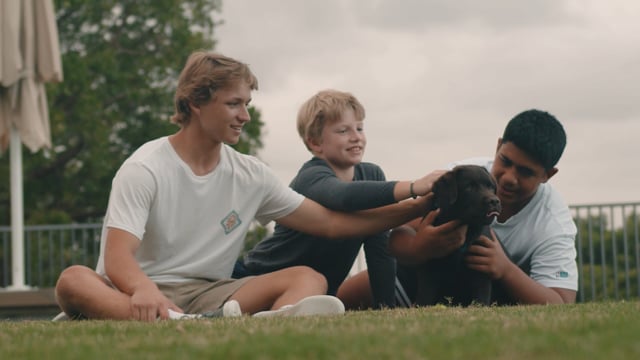 Cranbrook School — video