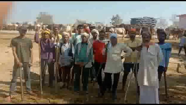 खप्टिहा कलां की पशु आश्रय स्थल से छोड़े जा रहे हैं गौवंश,परेशान हो रहे है अन्नदाता