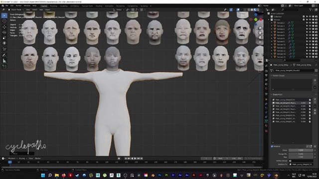 Crowd Simulation