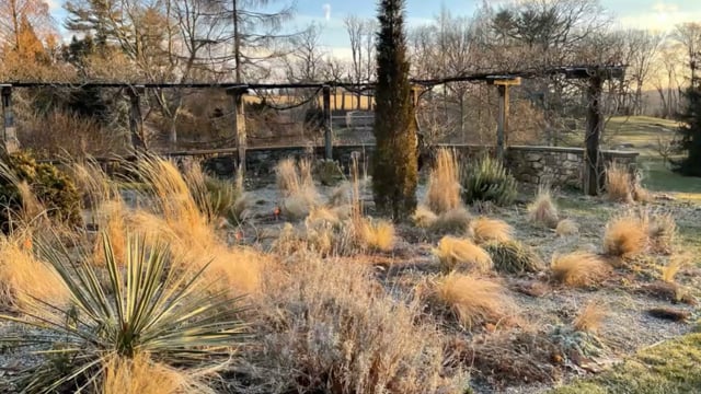 Chris Fehlhaber – Winter at Chanticleer – The backbone of the garden