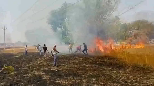 अज्ञात कारणों से गेंहूँ की फसल में लगी आग, फसल जलकर हुयी खाक
ग्रामीणों ने भरसक की कोशिश
रामपुर ब्लाक ग्राम वीरसिंहपुर