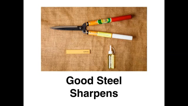 Darren Lerigo – The Modern Topiarist