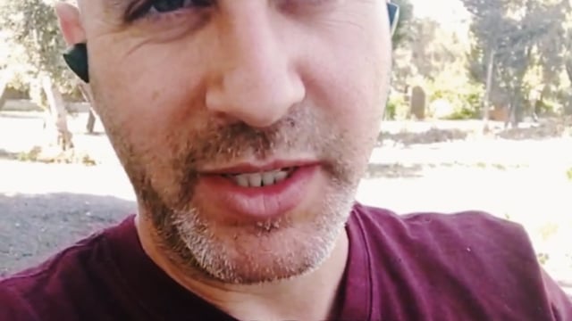 המלצה של יעקב שוץ
