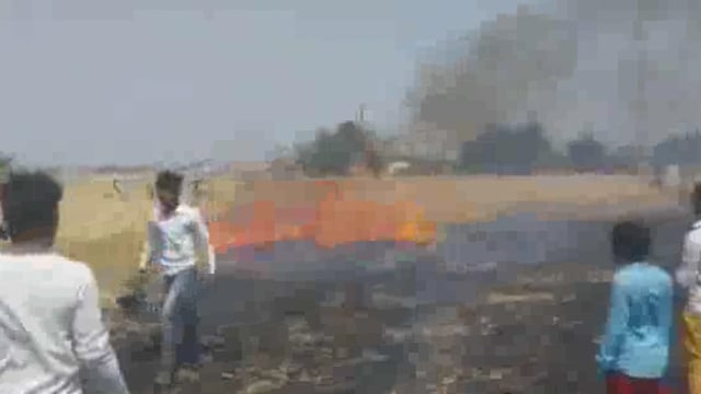 सिद्धार्थनगर जिले के अलग-अलग स्थानों पर आग लगने से 190 बीघे गेहूं की फसल जलकर राख