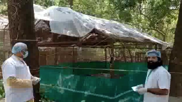 Kanpur Chidiyaghar Mein Band Saras Ne Arif Ko Dekha use Samay uski dekhne layak thi sthiti video mein dekh sakte hain Ki