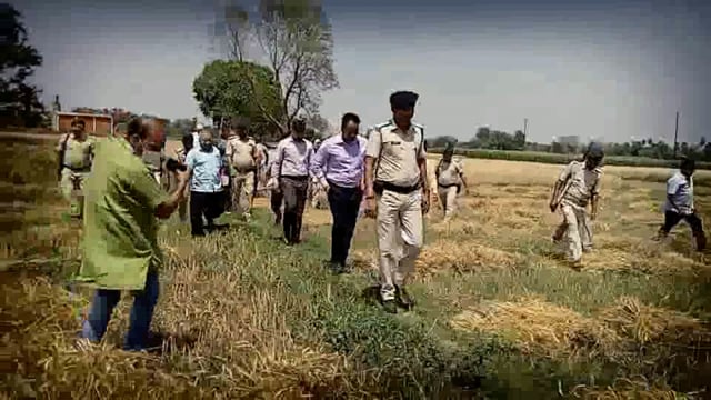 डीएम अंशुल कुमार ने कुंडा पुल के समीप रवि फसल के क्रॉप कटिंग का लिया जायजा ।