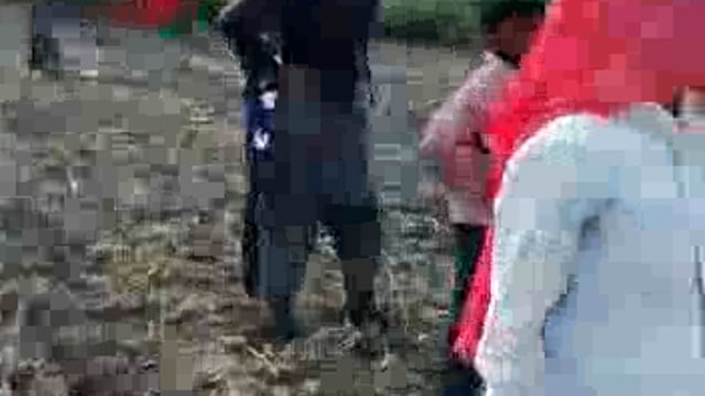 थाना टप्पल गांव महाराजगंज में 5 बीघा गेहूं की फसल में अज्ञात कारणों से लगी आग