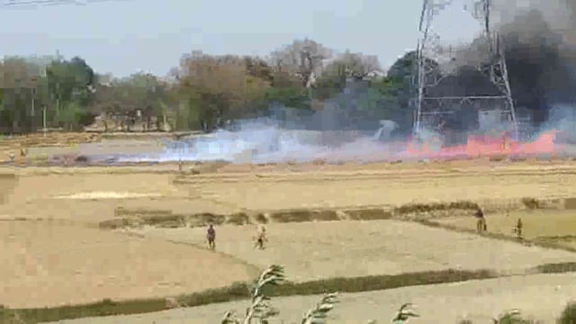 गेंहूँ के खेत में लगी आग, बड़ी मशक्कत के बाद ग्रामीणों ने आग को बुझाया