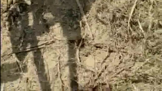 साइकिल से राशन की दुकान में गल्ला लेने जा रहे है 45 वर्षीय मजदूर की संदिग्ध परिस्थितियों में हुई मौत