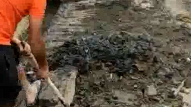 जनपद के अंतिम छोर पर स्थित पारसोली गांव में युवा शक्ति संगठन ने गांव को बिना सरकारी मदद के स्वच्छ करने का बीड़ा उठाया