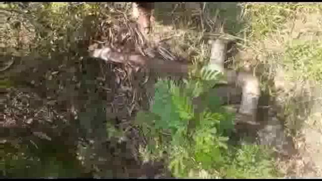 नागलगाव येथे तिघा शेतकऱ्यांच्या अज्ञात चोरट्याने पाण्याच्या मोटारी पळविल्या