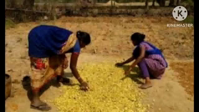 15 लीटर महुआ शराब के साथ फुल्लीडुमर के एक महिला शराब कारोबारी को पुलिस ने रंगेहाथ किया गिरफ्तार