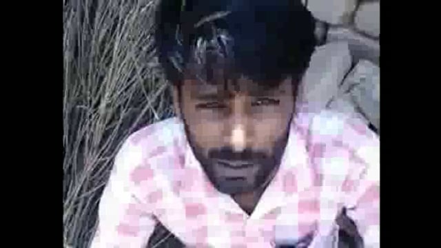 कुटी में पालतू 4 कुत्तों ने मिलकर पडिया को मारा डाला,पडिया मालिक पहुंचा पुलिस के पास में