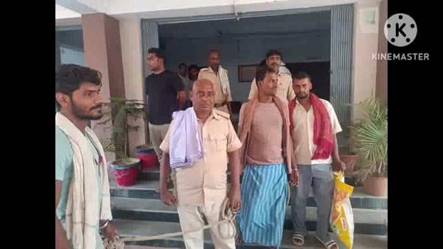 सूरजगढ़ा-मवेशी चोर के साथ-साथ खरीददार भी हुए गिरफ्तार भेजा गया जेल