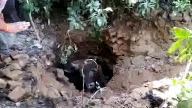 हल्लौर में कुएं में गिरा छुट्टा सांड ग्रामीण व प्रसासन कि कड़ी मशक्कत के बाद निकाला गया बाहर