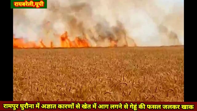 अज्ञात कारणों से खेत में भीषण आग लगने से गेहूं की फसल जलकर खाक