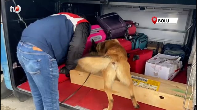 Yolcu Otobüsünde 15 Kilo Uyuşturucu Ele Geçirildi