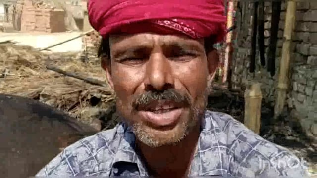 सुगौली के करमवा में लगी आग में झोंपड़ी में जिंदा जल कर मरी गाय।