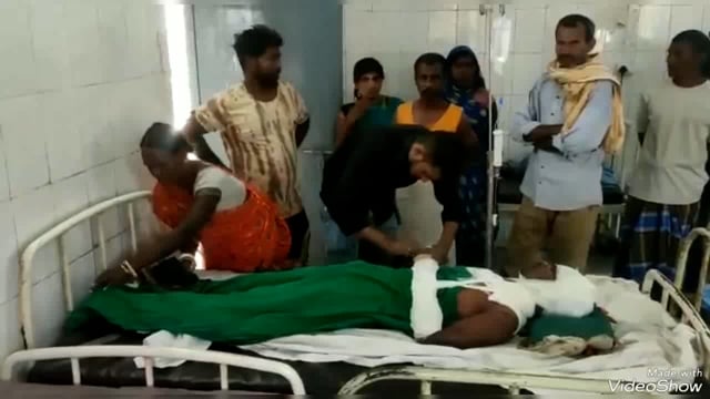 चैली गांव के समीप जंगल में एक युवक को जंगली सूअर ने किया जख्मी