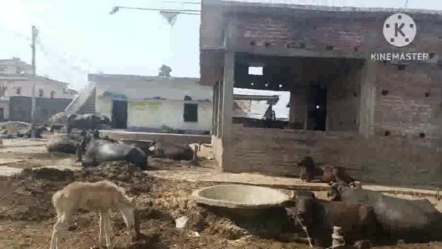 सूरजगढ़ा-विद्यालय में समुचित व्यवस्था नहीं रहने के कारण पठन-पाठन में होती है परेशानी