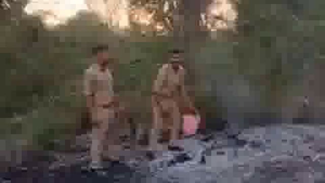 जंगल में अज्ञात कारणों से लगी आग, फायर ब्रिगेड टीम ने बुझाई आग