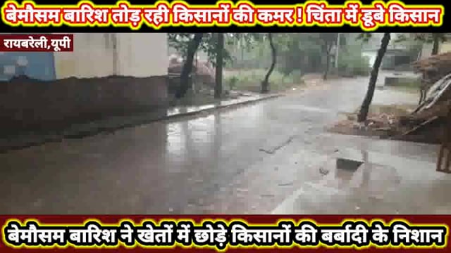 बेमौसम बारिश तोड़ रही किसानों की कमर ! चिन्ता में डूबे  किसान