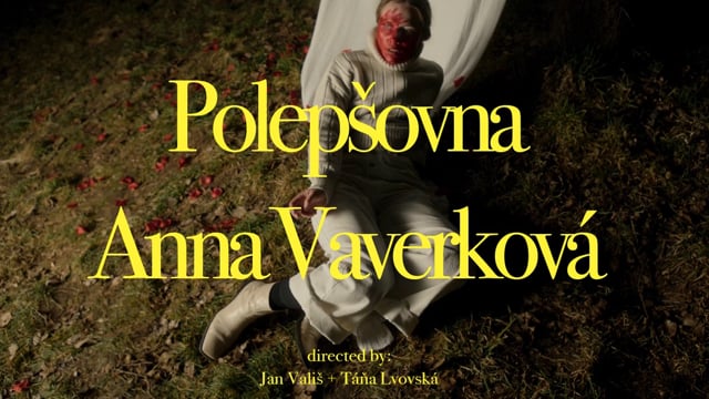 Náhled pro video reference