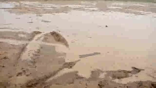 जब इंद्रदेव हुए मेहरबान, खेत बने ताल तलैया।