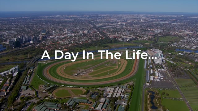 A Day in the Life with the Flemington vets