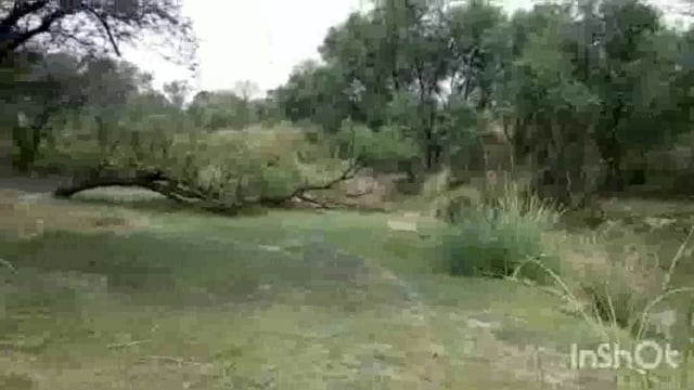 डीएम साहब ध्यान दे देंगे तो सैकड़ों एकड़ उपजाऊ जमीन की पैदावार से किसानों के परिवार का पालन पोषण होने लगेगा।