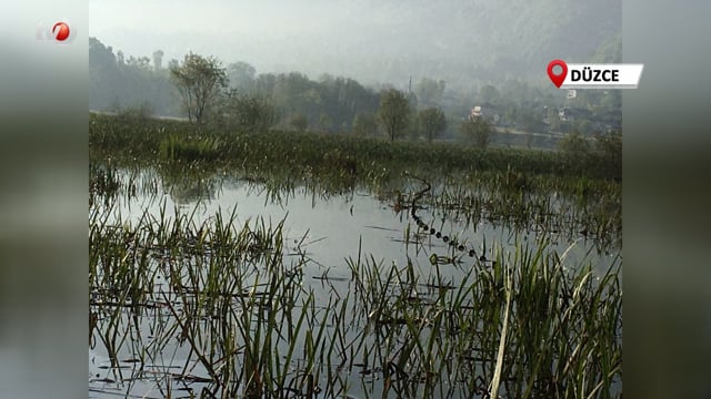 Efteni Gölü'nde Kaçak Avlanmaya Geçit Yok