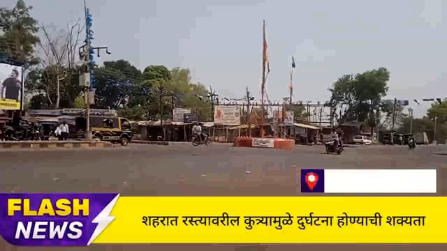 सिंदेवाही लोनवाही नगरपंचायत हद्दीतील रस्त्यावरील मोकाट कुत्र्यांमुळे दुर्घटना होण्याची शक्यता. 