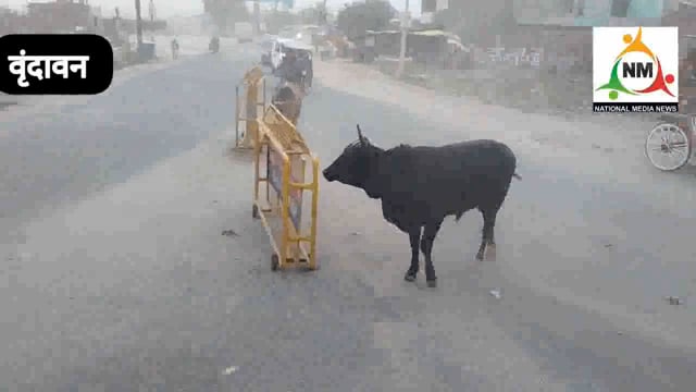 धूल भरी तेज आंधी ने कुछ देर के लिए ट्रैफिक पर लगाए ब्रेक, रोड पर उड़ते रहे धूल के गुबार।