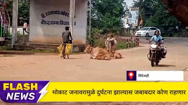 सिंदेवाही लोनवाही नगरपंचायत हद्दीतील रस्त्यावरील मोकाट जनावराचा बंदोबस्त करा. 