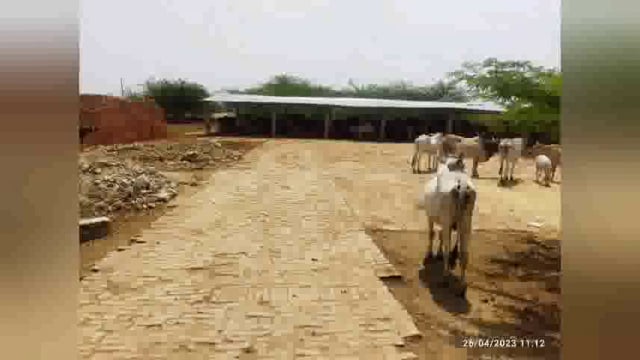 कलेक्टर आदेश का खुलेआम उलँघन,भीषण गर्मी में गौवंश की दुर्दशा
नोडल अधिकारी की लापरवाही
ब्लाक रामपुर संग्रामगढ़