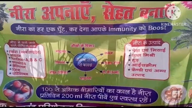 दुर्गेय शक्ति जीविका ग्राम संगठन द्वारा नीरा विक्री केंद्र का किया गया उद्घाटन