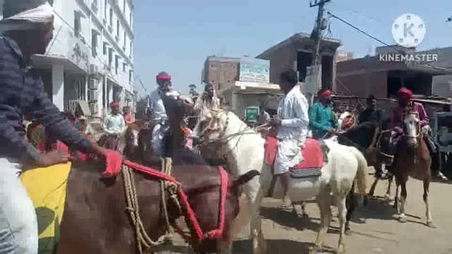 सूरजगढ़ा स्थित निस्ता गांव में 11 मई से होने वाली श्री श्री विष्णु महायज्ञ को लेकर निकाली गई भव्य  कलश शोभायात्रा