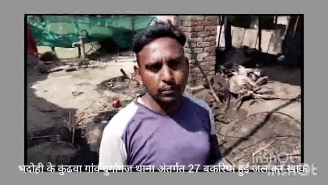 चिंगारी बनी ज्वाला,छप्पर में लगी आग से 27 बकरियों की दर्दनाक मौत। भदोही के दुर्गागंज थाना अंतर्गत कुढ़वा गांव की घटना।