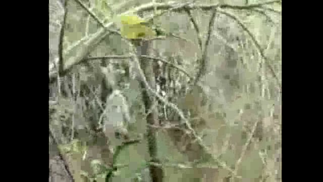 तीवटग्याळ येथे गळफास घेऊन आत्महत्या केलेल्या व्यक्तीची ओळख पटली