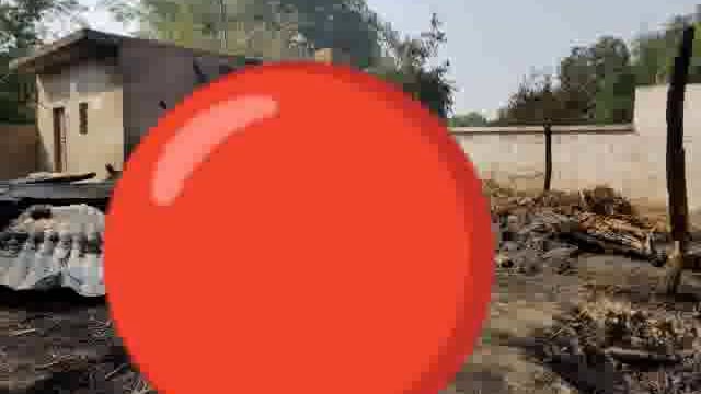 छप्पर मे लगी आग, पाँच बकरी जिन्दा जली, सो रही वृद्धा झुलसी