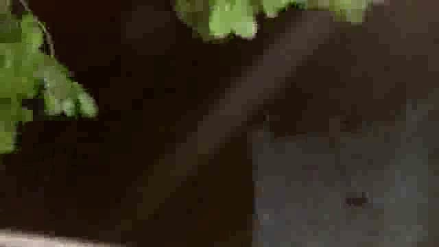 सोनई क्षेत्र में कड़कती बिजली, गरजते बादल एवं तेज हवा के मध्य बूंदाबांदी जारी: जनजीवन अस्त व्यस्त 