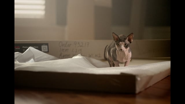 Change The Ugly video 3