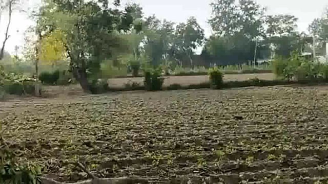 आंधी में टीन सैट गिरने से आधा दर्जन बच्चे घायल दो की हालत गंभीर