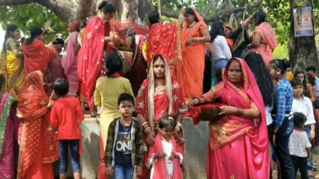 बौंसी प्रखंड में सुहागिनों ने बरगद के पेड़ की परिक्रमा कर मनाया वट सावित्री व्रत