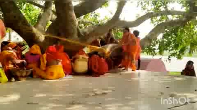 पति की लंबी उम्र की कामना के लिए सुगौली में सुहागिन महिलाओं ने की वट वृक्ष की पूजा।