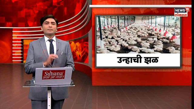 गर्मीचा पोल्ट्री व्यवसायाला फटका